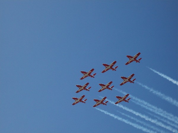 Snowbirds Toronto Ontario 2007