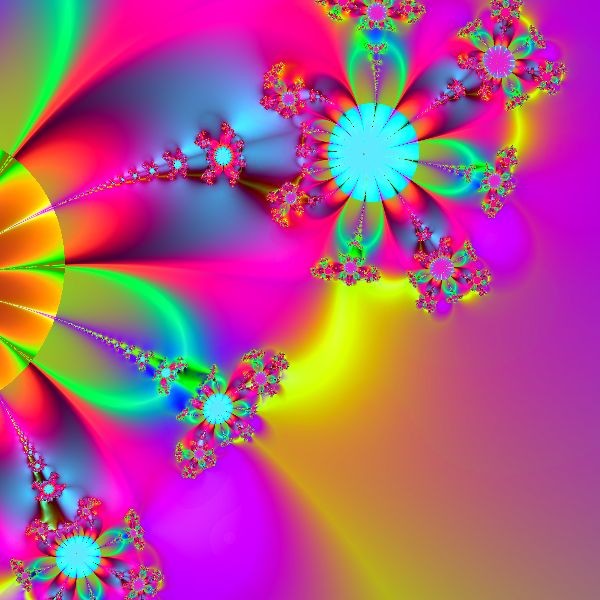 Flower Garden