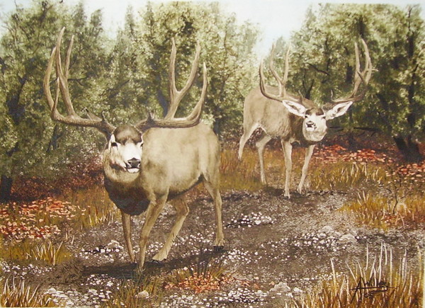 Out of the Cedars