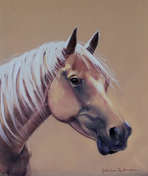 Phaedra  My Palomino