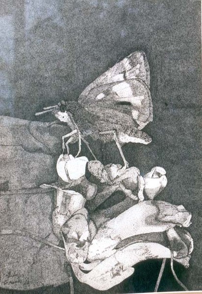 The Moth