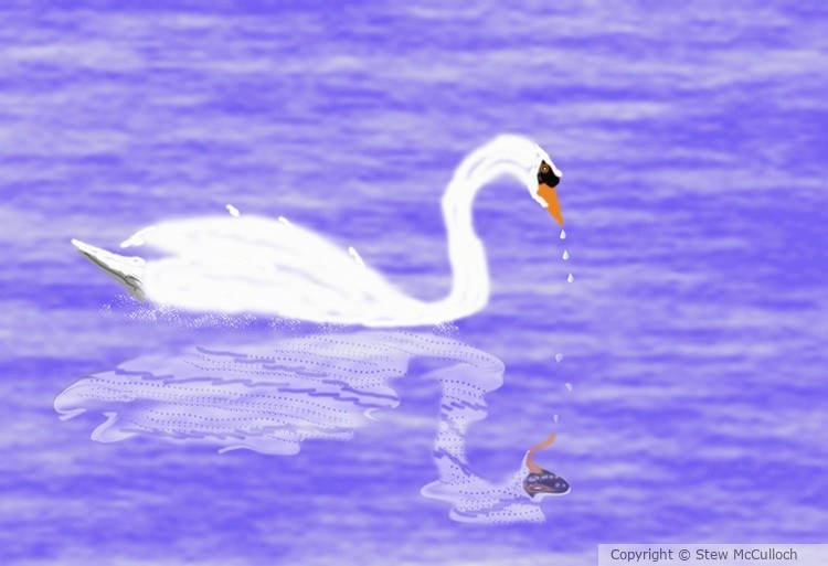 Swan out Fishin'  P331