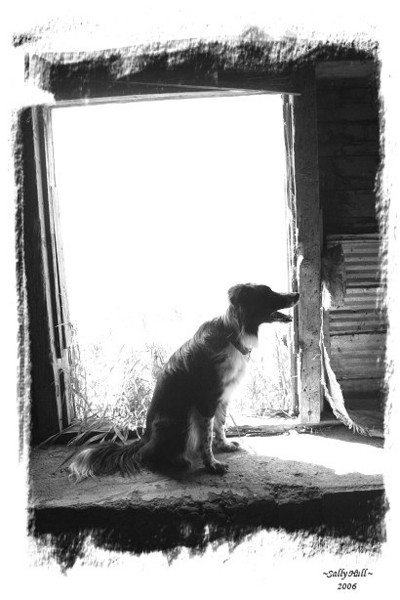 Freckles in the Doorway