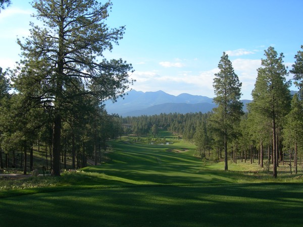 Gold course