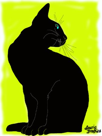 Cat53