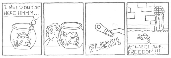 The Secret Thoughts of Fish