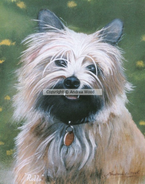 Rollo