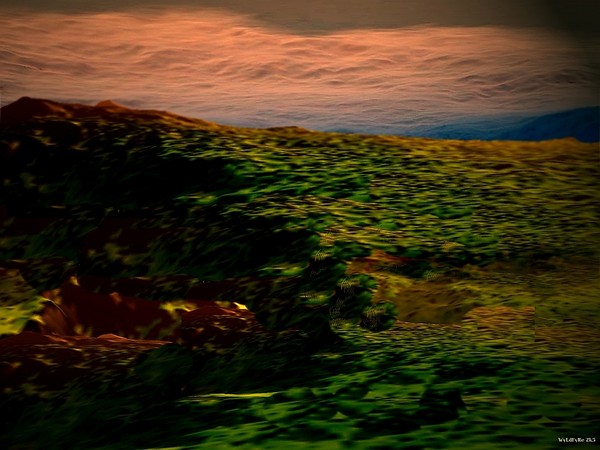Pennsylvania Hills