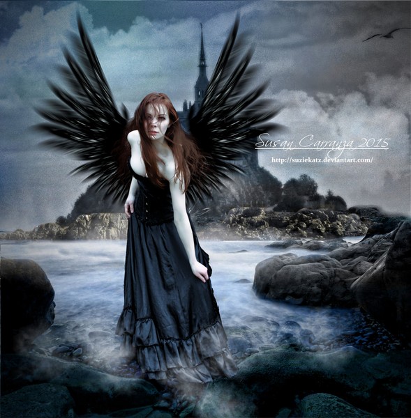 Dark Winged Beauty
