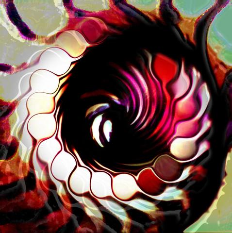 Nautilus