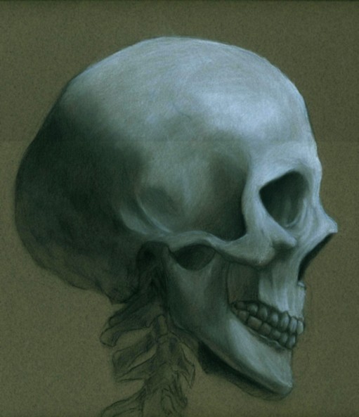 Skull