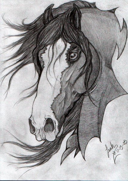 Spirit
