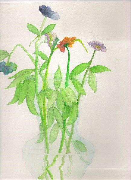 Flowers of beauty