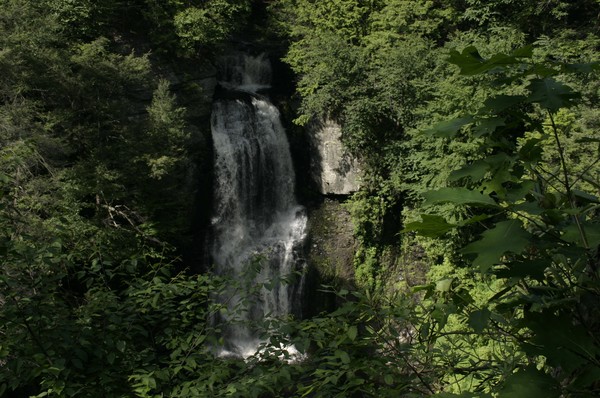 Water Fall in the Sun