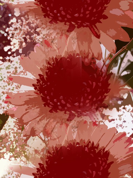 Gerberas In Red