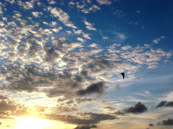 Dramatic Sky over Key West