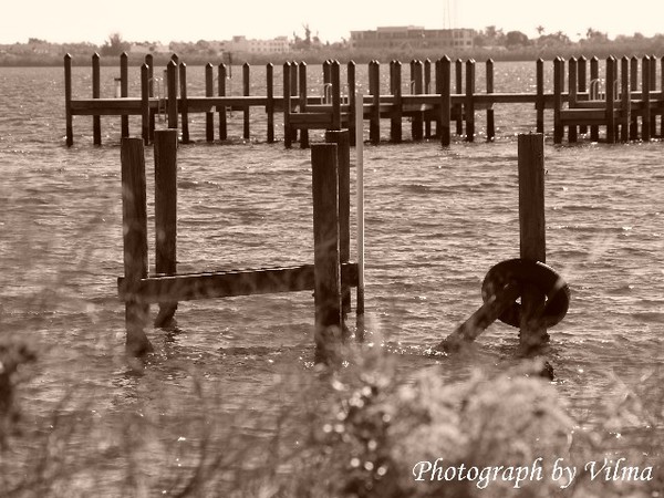 Brittled Shores #5