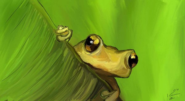 Coqui