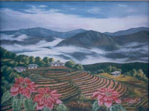  a beautiful nepal
