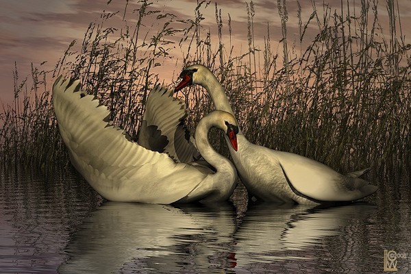 The Lovers
