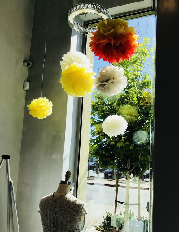 Window Shopping