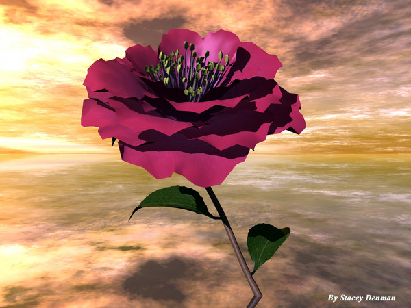 The Rose One