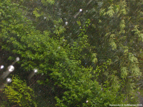 Lashing Rain