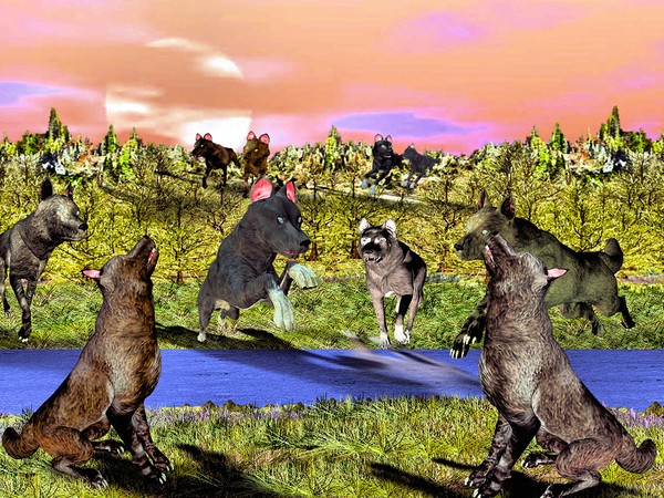 Howling Place Meet Up