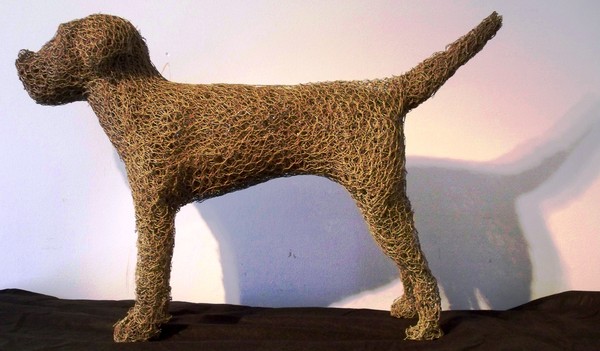 Border Terrier