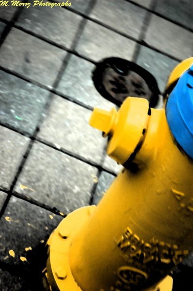 Yellow And Blue