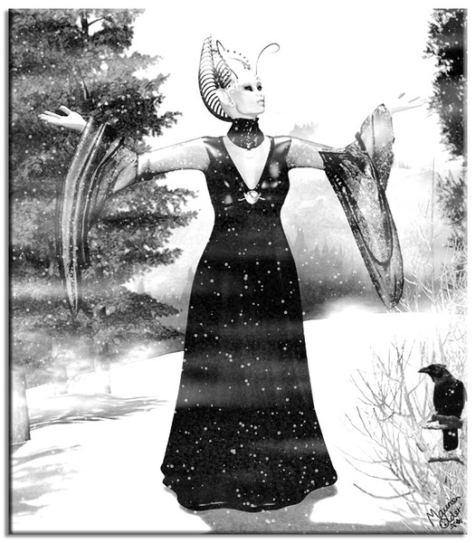 Snow. I bring
