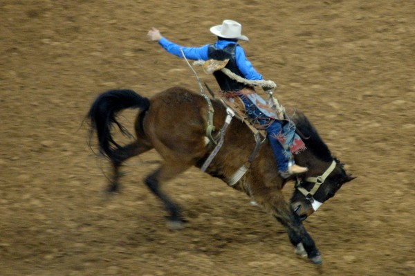 Blue Rider 3
