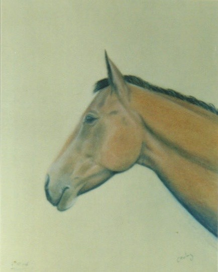 Horse Portrait
