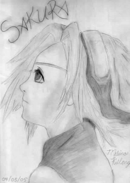 Sakura