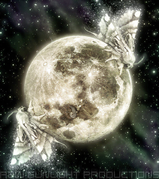 Sleep Jam - (detail)