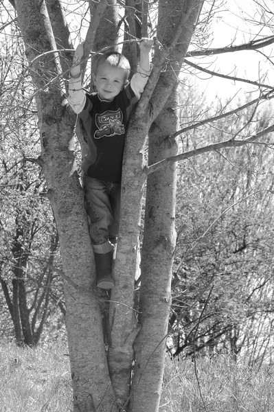 My Little Monkey