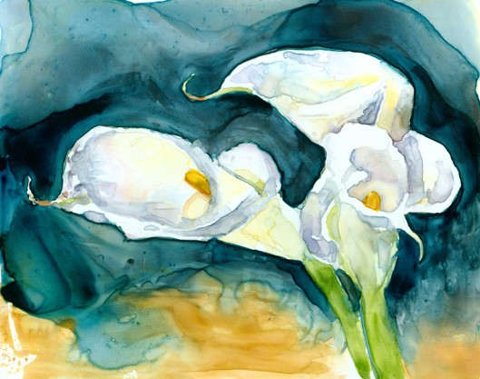 Calla Lilies- Redeux