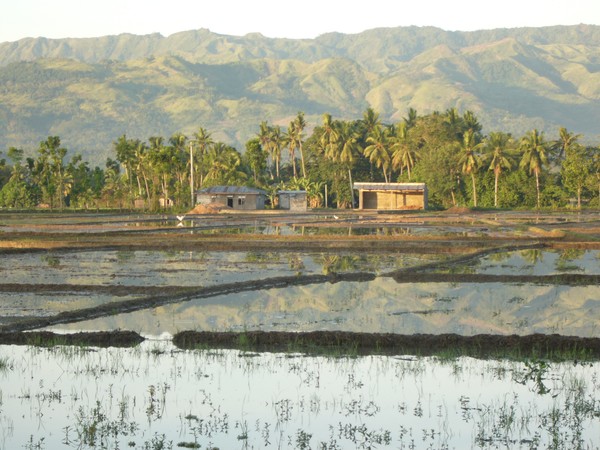 Hills Reflected in Palayan