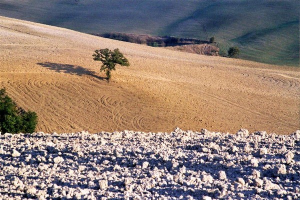 tuscany