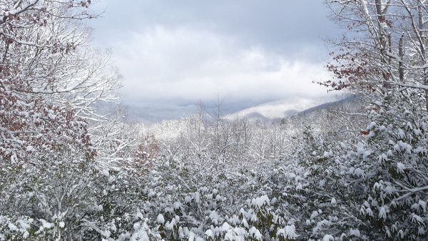 Misty Mountain