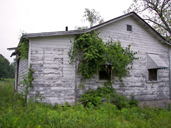 Over grown old house