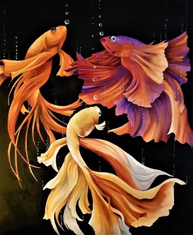 fantail fish