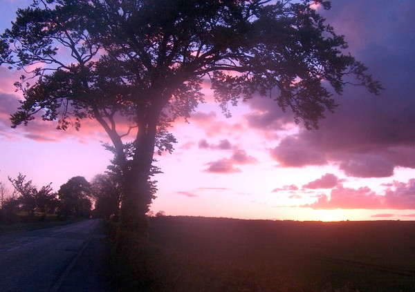 May Sunset 1