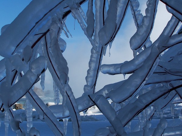 The Garden of the Snow Queen