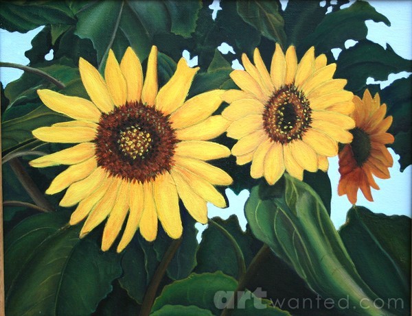 Sunflowers 