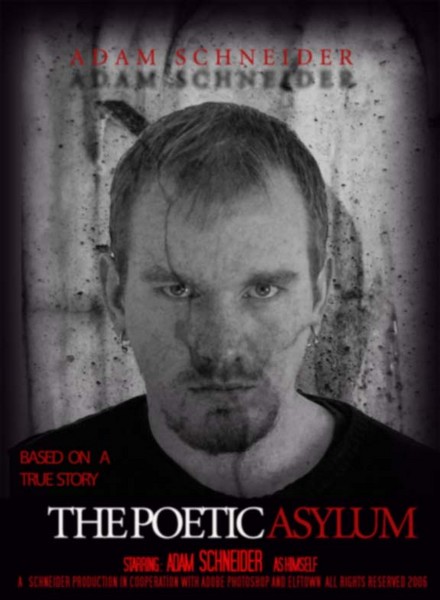 The Poetic Asylum