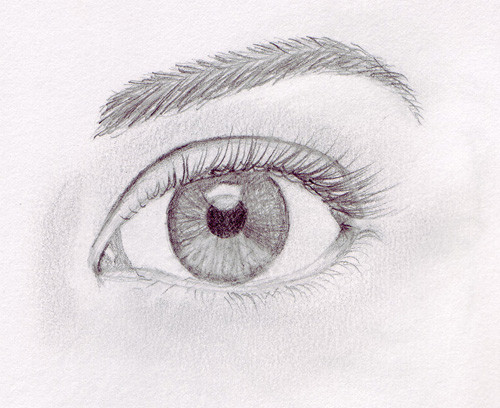 Eye