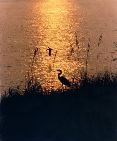 Sunrise at Ft. Pickens