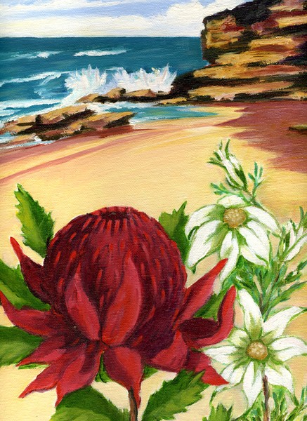 Waratahs and Headland