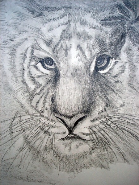 tigger tigger